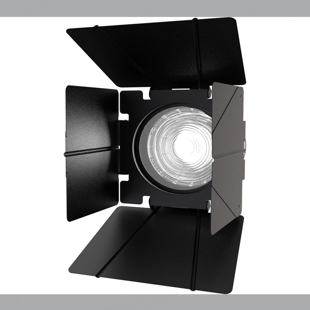 Aputure F10 Barndoors